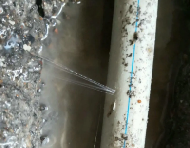 遵义市测漏水哪家好