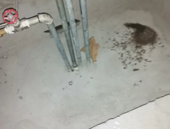 遵义市卫生间测漏水价格明细